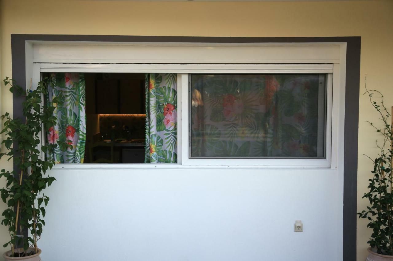 نافبليو Garden Studio Apartment المظهر الخارجي الصورة
